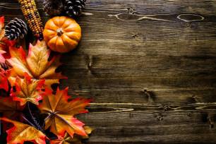 Autumn, Thanksgiving, Backgrounds.